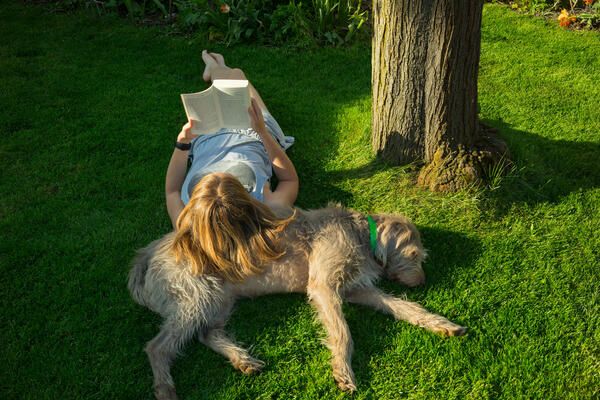 Woman reading book on lawn with dog