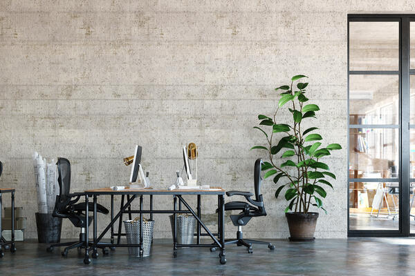 Artistic shot of open concept office with concrete walls and big live plants
