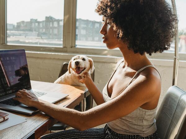 Femme travaillant à un ordinateur portable tout en caressant un chien
